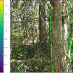 Measuring tree growth with smartphone LiDAR sensors.