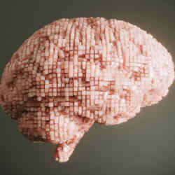 Artist's representation of a brain made up of organoids. 