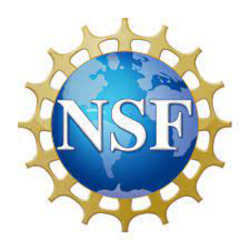 The National Science Foundation logo.