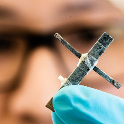 researcher holds a wood transistor