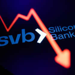 SVB catered to technology startups, many of which had millions of dollars in deposits and loans from the bank. The bank grew rapidly in recent years as startups depended on the bank for funding.