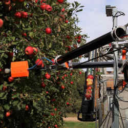 Eve, the fruit-picking robot.
