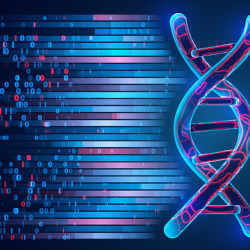 Investigating DNA sequences.