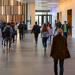 students in the halls at the University of Washington's Allen School