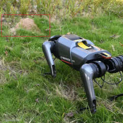 The robotic dog identifying a nest of fire ants. 