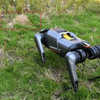 Robotic Dog Spots Invasive Fire Ant Nests Better Than Humans