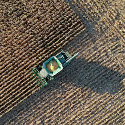 Corn harvesting near Woodburn, IN.