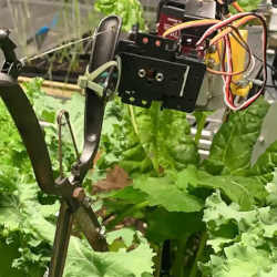 The AlphaGarden robotic gardener is a cut above humans when it comes to water use.