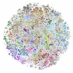 An atlas groups together papers from distinct fields into large, color-coded bundles.