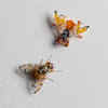 Male Flies Are Better at Mating After Fighting Off Robotic Rival