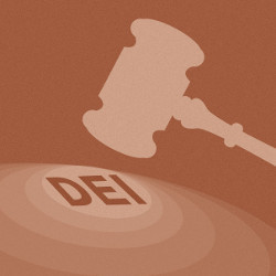 judge's gavel over the initials DEI, illustration