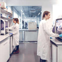 Researchers use CyBio FeliX workstations to extract and purify DNA samples for testing.