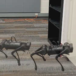 Quadruped robots following instructions.