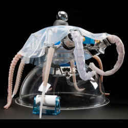 A robot octopus that can move like the real thing. 