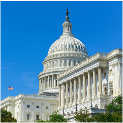 U.S. Capitol Building