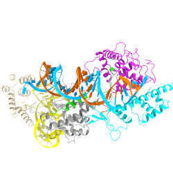 Model of a minimal CRISPR-Cas13bt3 molecule generated with a cryo-electron microscope.