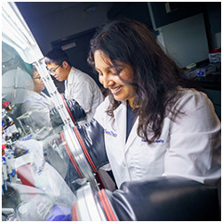 UC San Diego Ph.D. students Nandu Koripally and Lulu Yao working in a lab