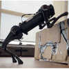 AI Approach Yields 'Athletically Intelligent' Robotic Dog