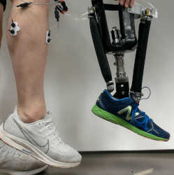 A demonstration of the robotic prosthetic ankle.