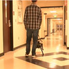 Computer Scientists Program Robotic Seeing-Eye Dog