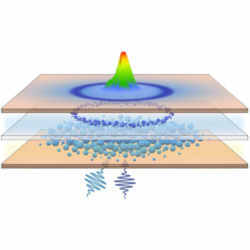 Schematic of a double-dye organic microcavity with two-color excitation profiles creating a polariton condensate in the center of a ring shape.