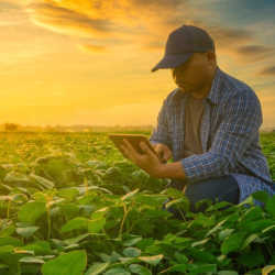 A farmer consults a tablet computer for data related to his crops. 