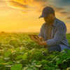 Cybersecurity Protects Food, Agriculture