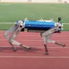 Robo-Dog Sets 100-Meter Sprint Guinness World Record