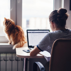 cat sitting near a remote worker 