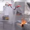 Japanese Scientists Build 'Robot Dragon' That Fights Fire