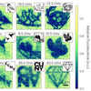 Data Stuffed into Diamond Cavities