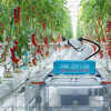 Robots Key to New Ways of Farming as Labor Shortage Looms