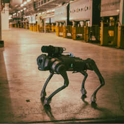 The dog-like CERNquadbot.