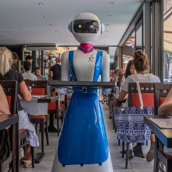 waiter robot in Rapallo, Italy