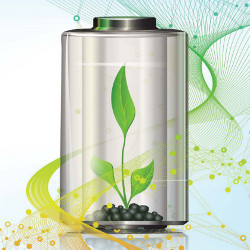 green sapling inside a cylinder battery, illustration