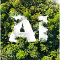 giant initials 'AI' on floor of a forest